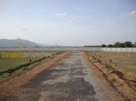 4) Residential Layouts for Sale Near to Tirupati-Yerpedu-Venkatagiri Highway - 30 Feet Tar Road.JPG